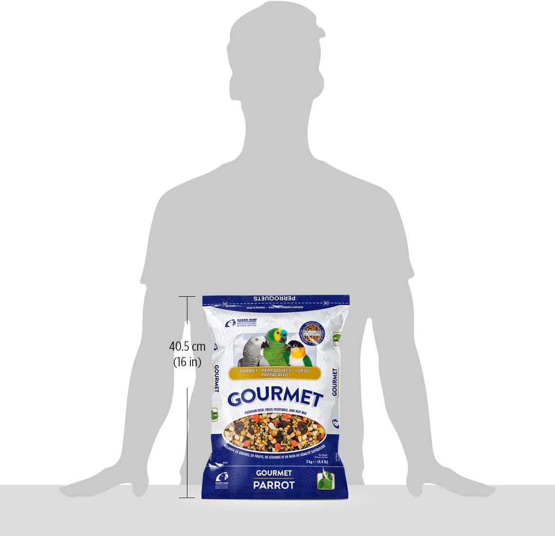 Hagen Gourmet Seed Mix for Small Parrot