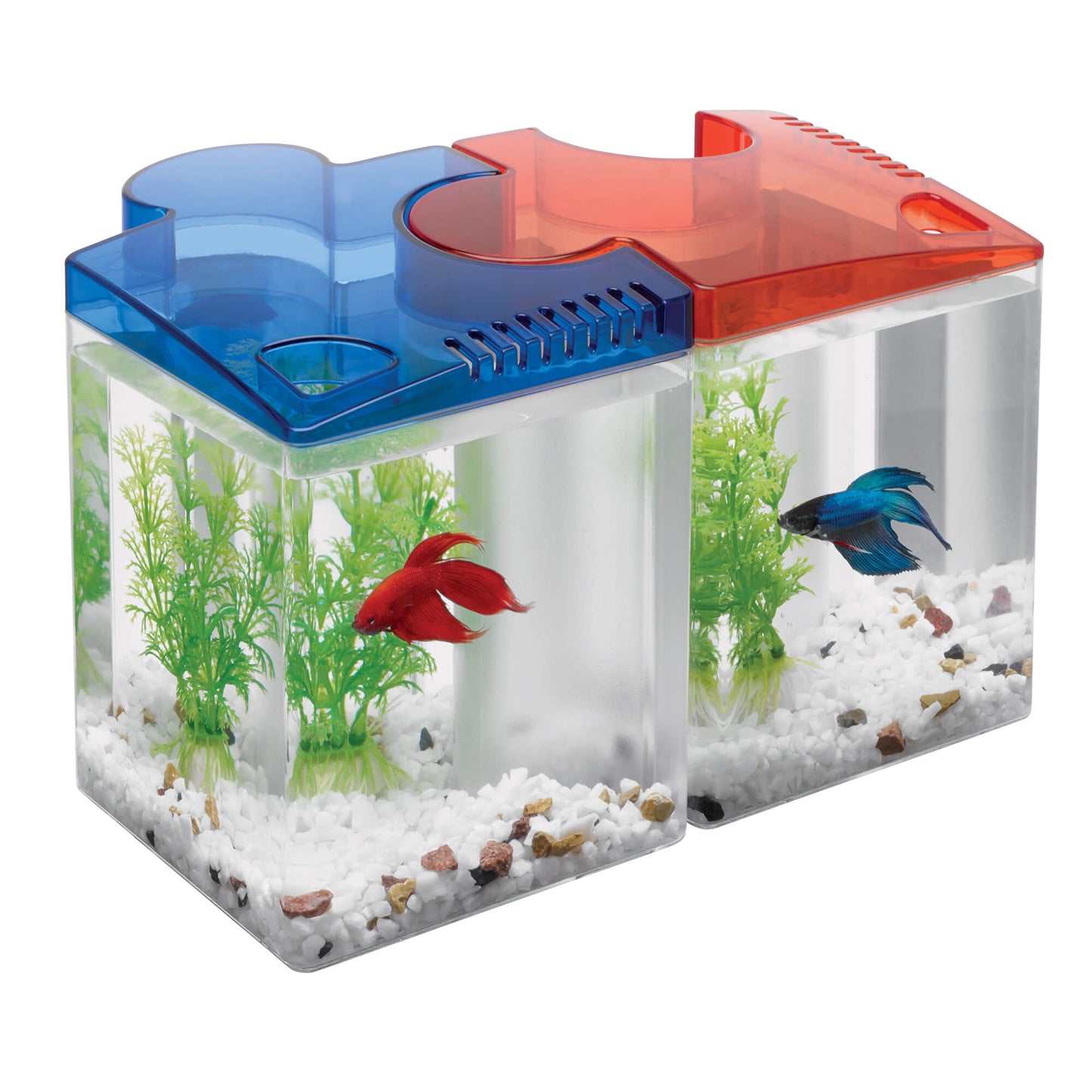 -Aqueon Betta Puzzle Kit