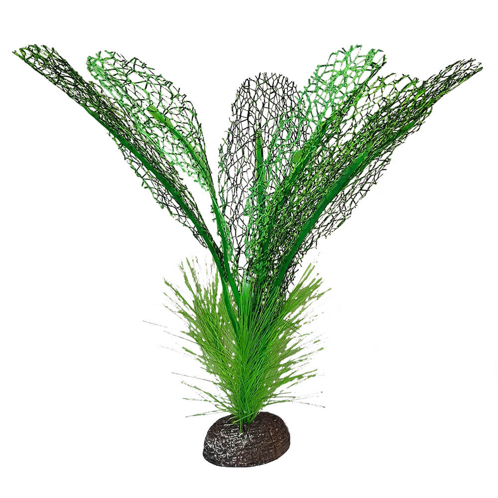 Fluval Betta Madagascar Lace Plant 15cm (6in)