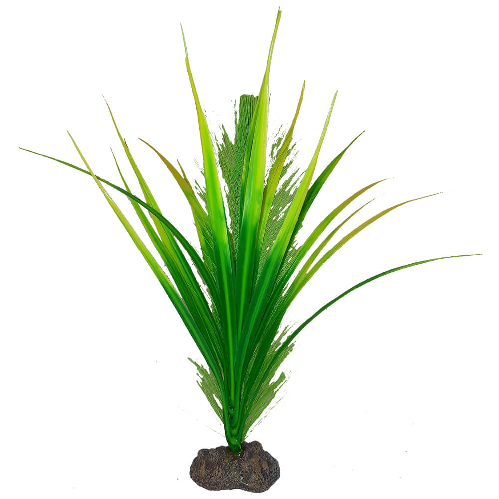 Fluval Betta Yellow Parrot Plant 20cm (8in)