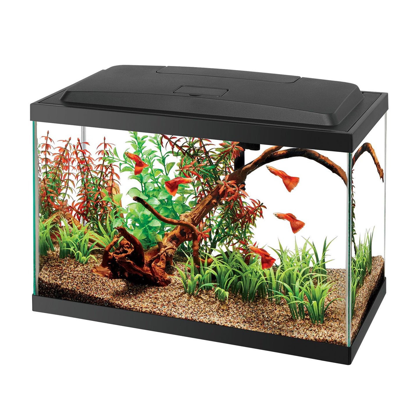 -Aqueon LED Starter Kit Aquarium 5.5Gal