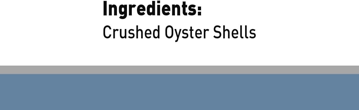 HARI Bird Oyster Shells