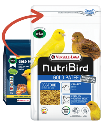 Orlux Versele-Laga Gold Patee Canaries