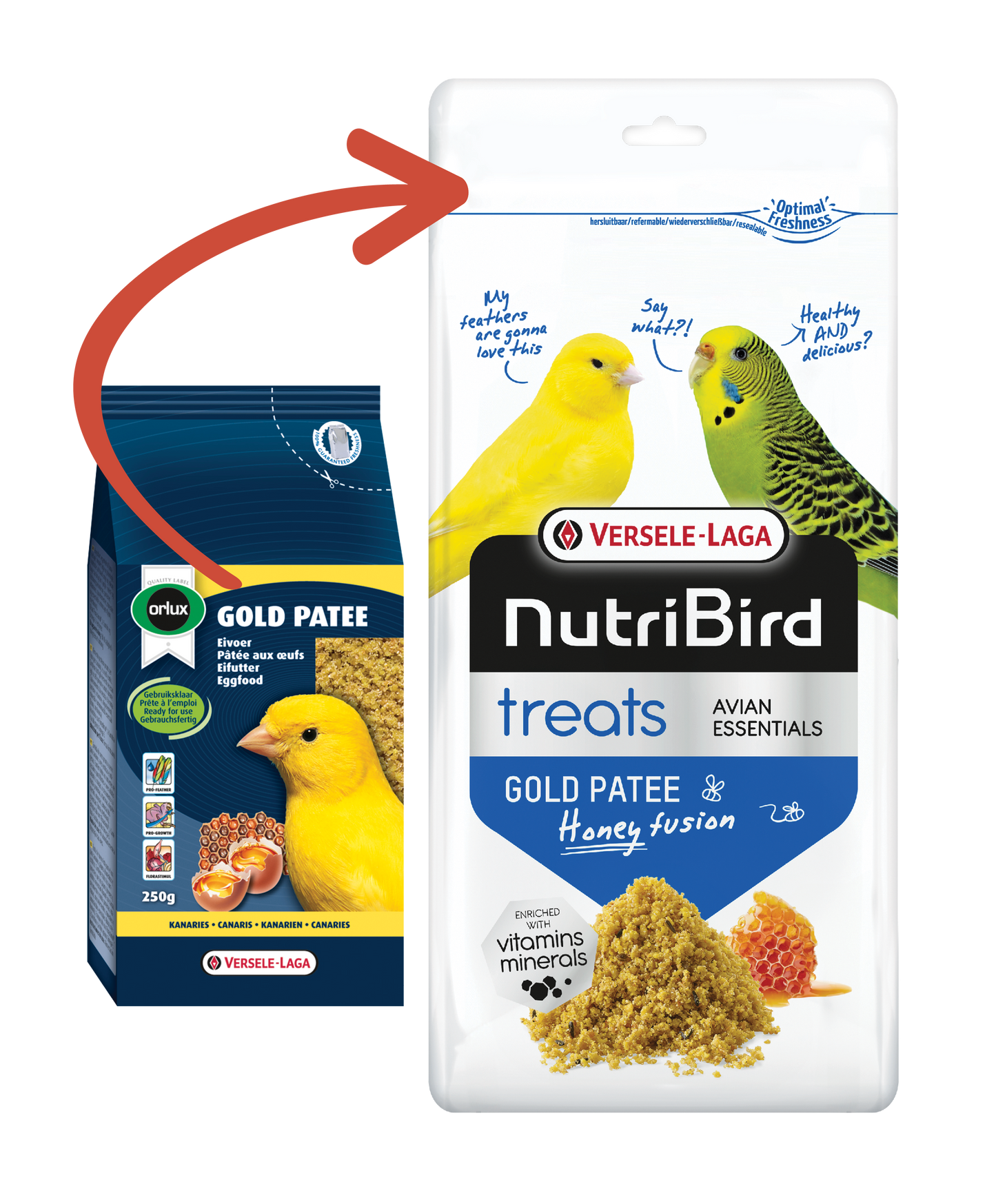 Orlux Versele-Laga Gold Patee Canaries