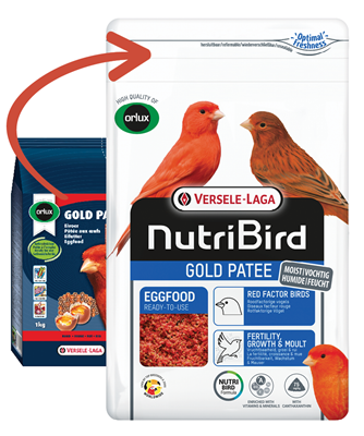 Orlux Versele-Laga Gold Patee Canaries Red