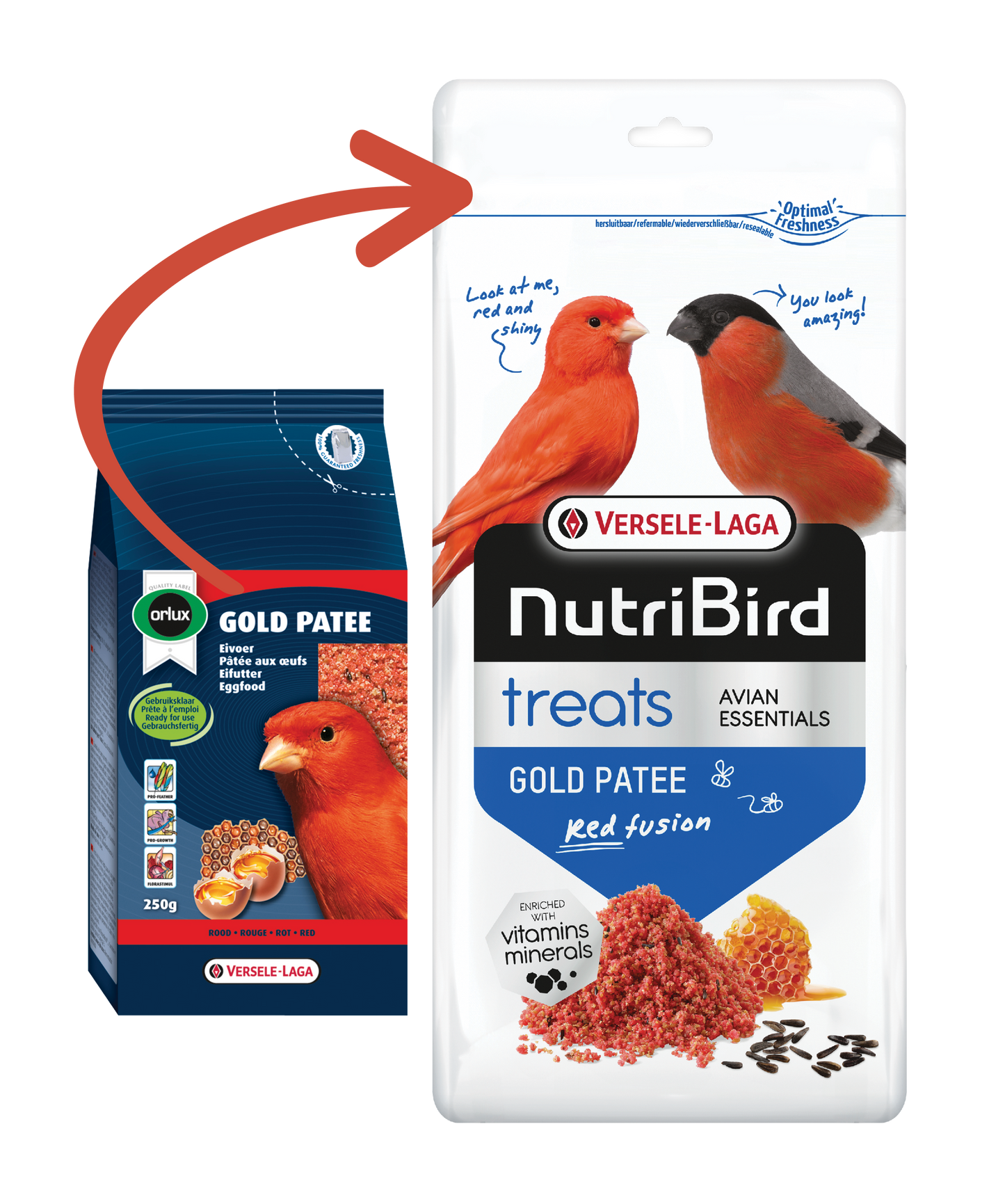 Orlux Versele-Laga Gold Patee Canaries Red