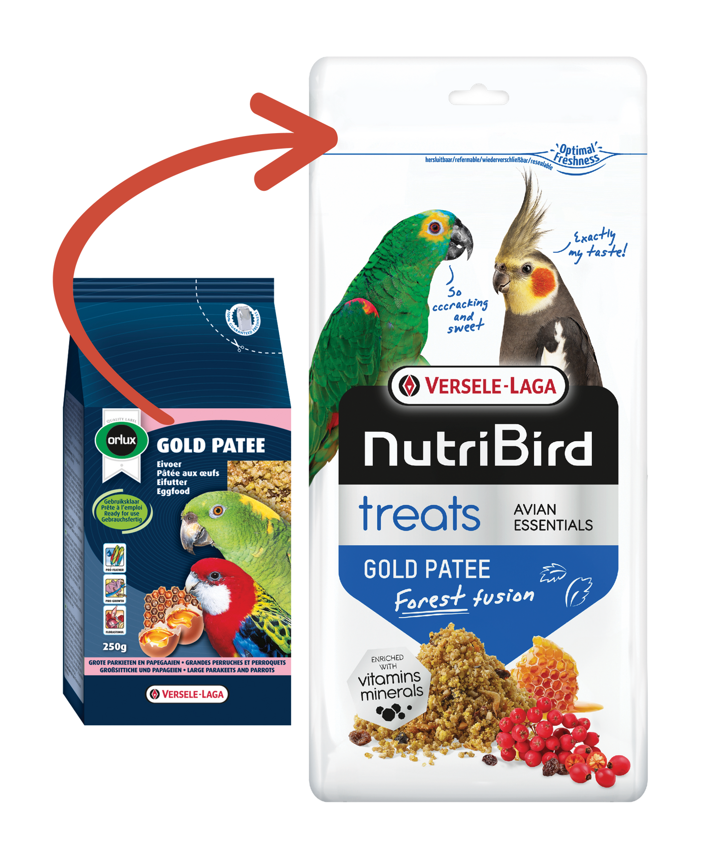Orlux Versele-Laga Treats Gold Patee Forest Fusion