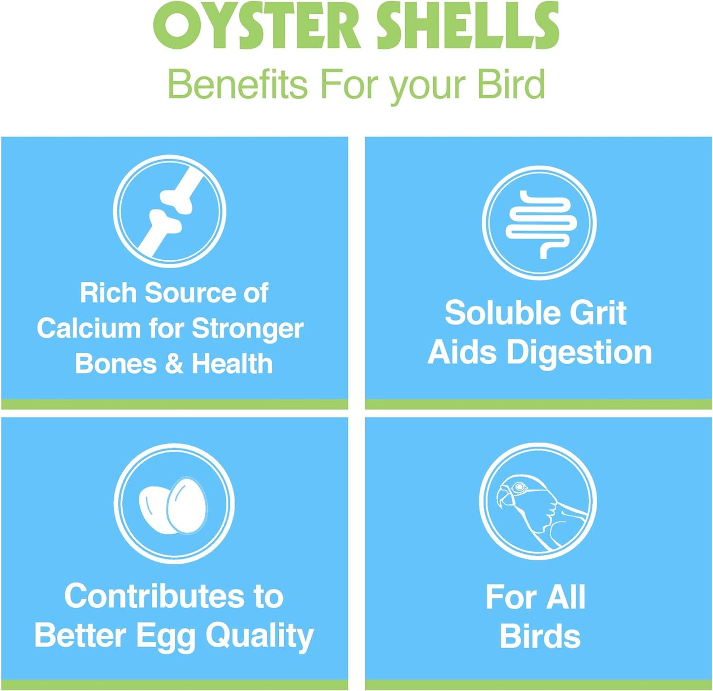 HARI Bird Oyster Shells