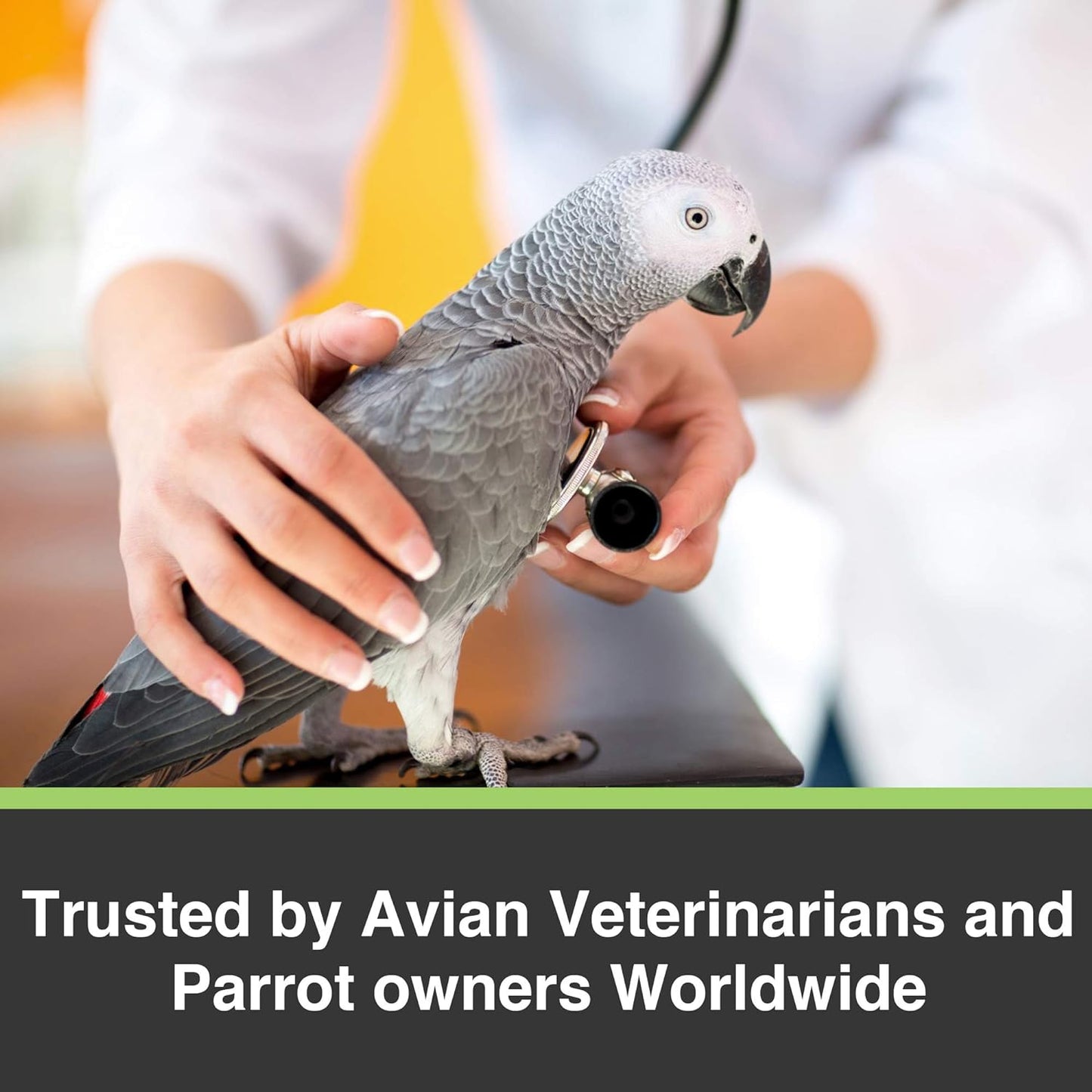 HARI Tropican Hand-Feeding Formula Parrot Food