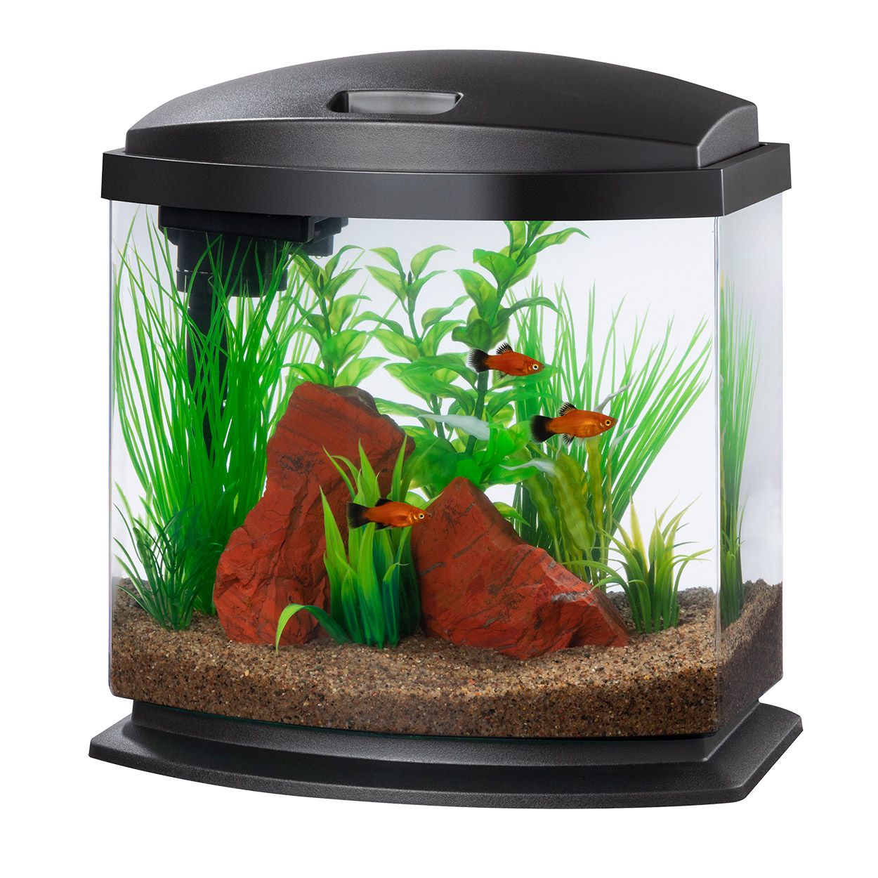 -Aqueon BettaBow LED SmartClean Aquarium 2.5GAL