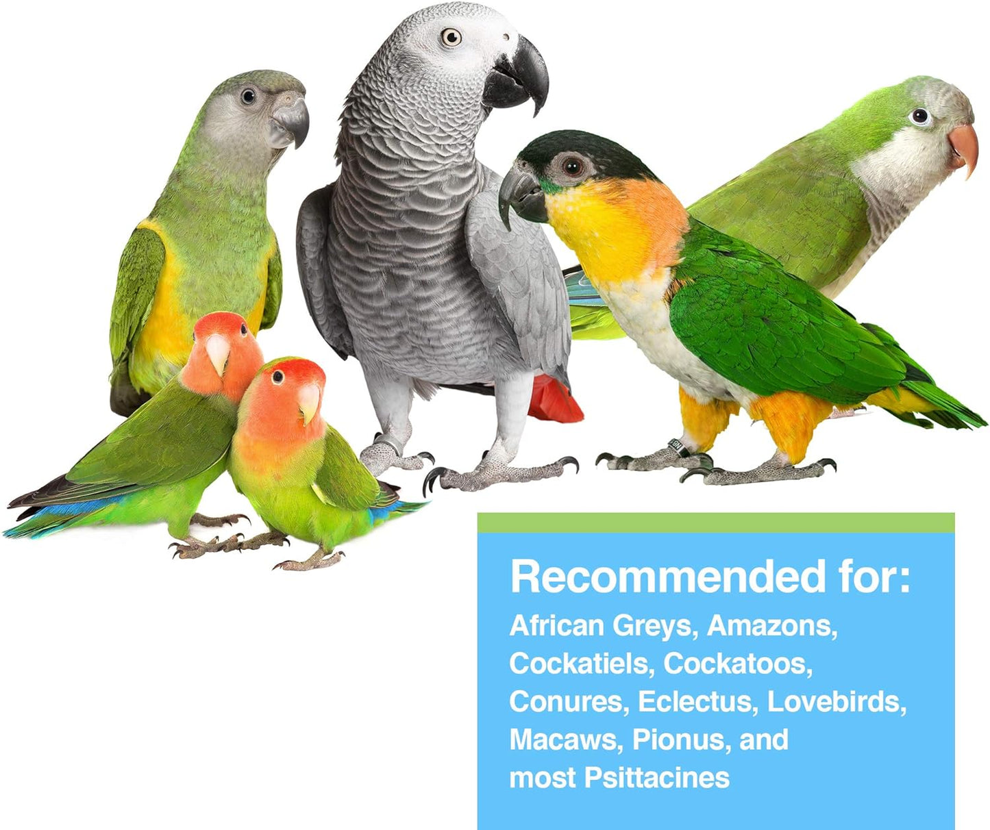 HARI Tropican Hand-Feeding Formula Parrot Food