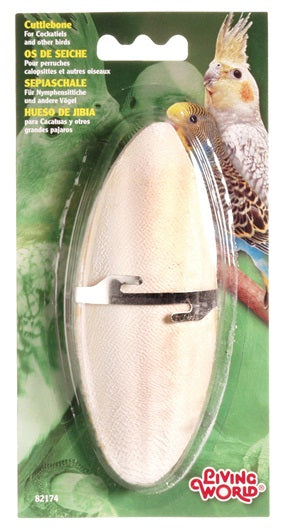 Living World Cuttlebone with Holder, Medium (5-6in)