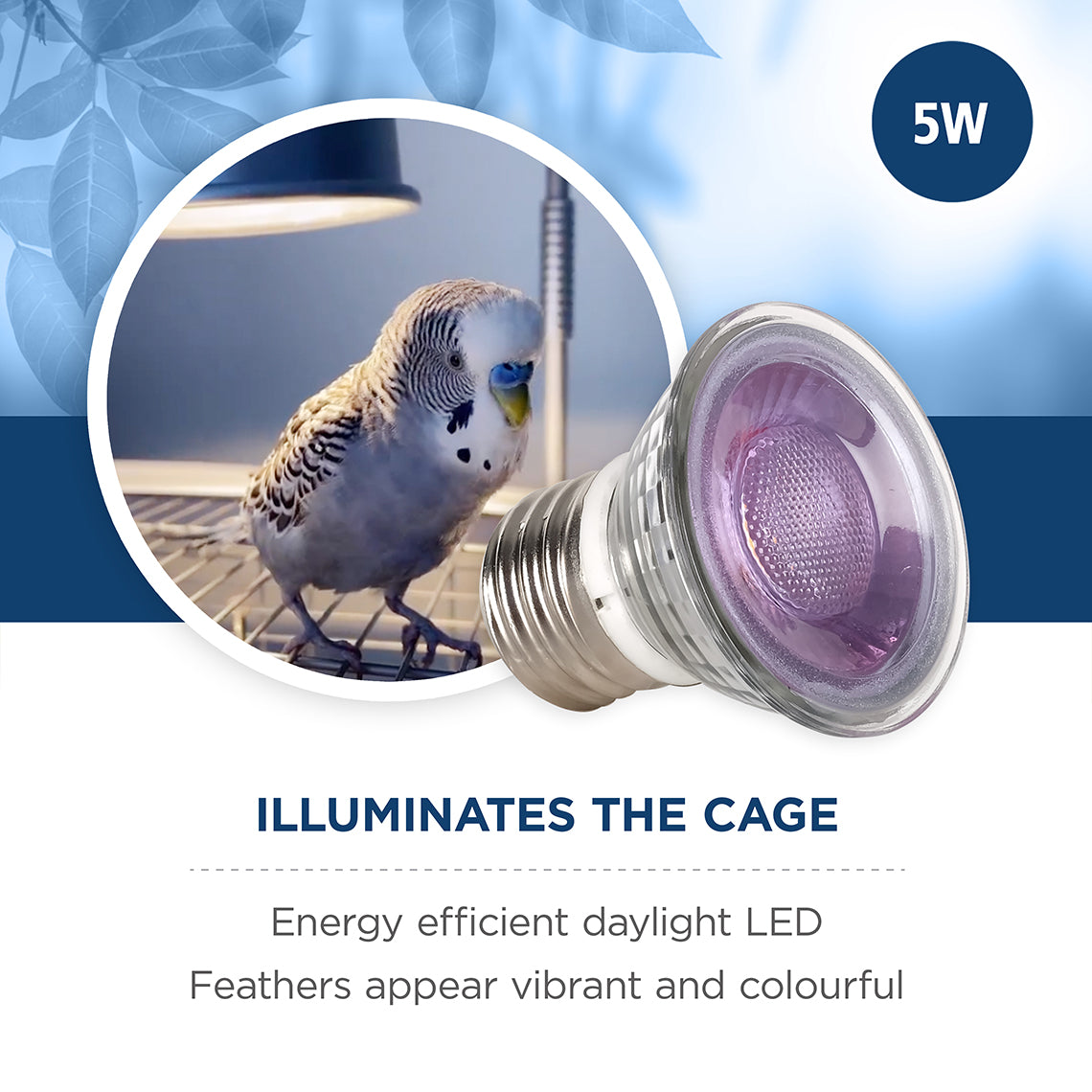 Vision Daylight LED Light 5W