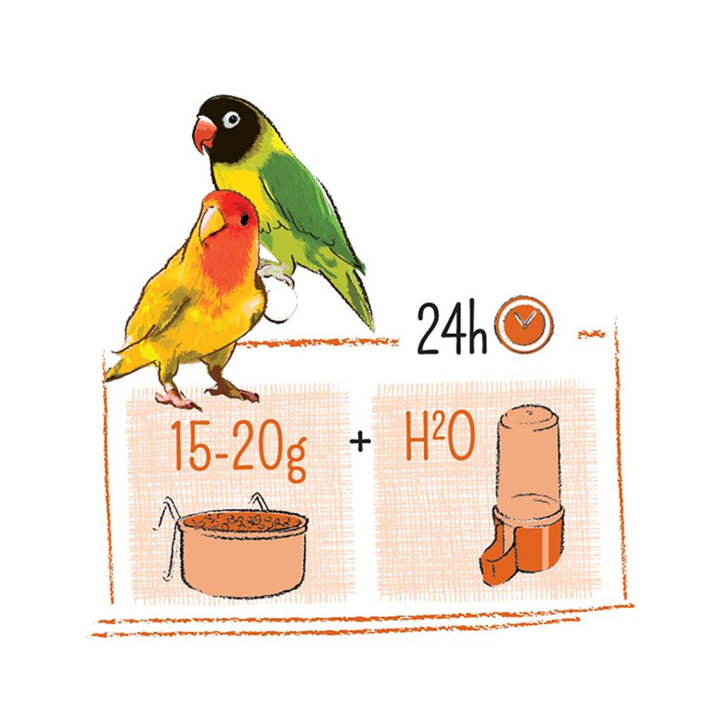 Witte Molen Puur Lovebird