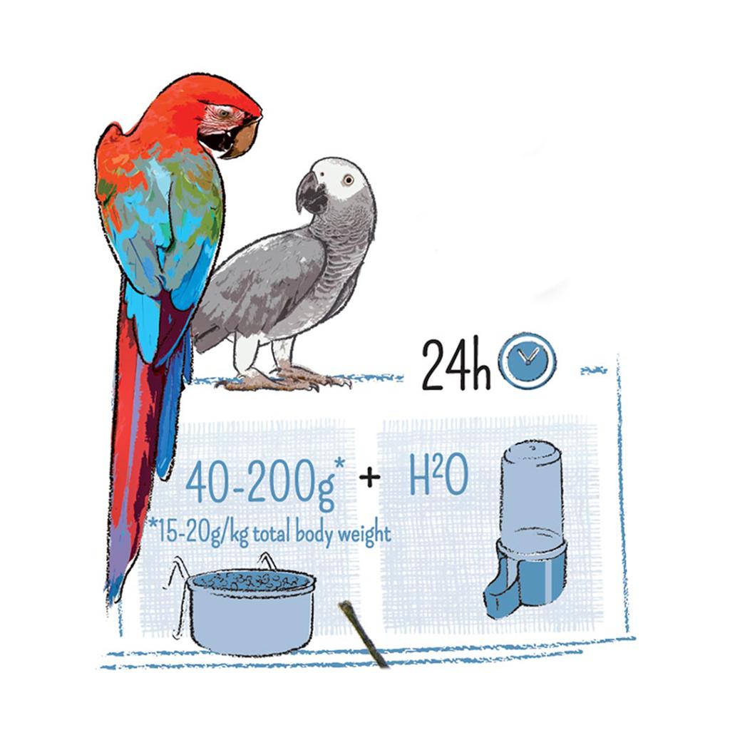 Witte Molen Puur Parrot