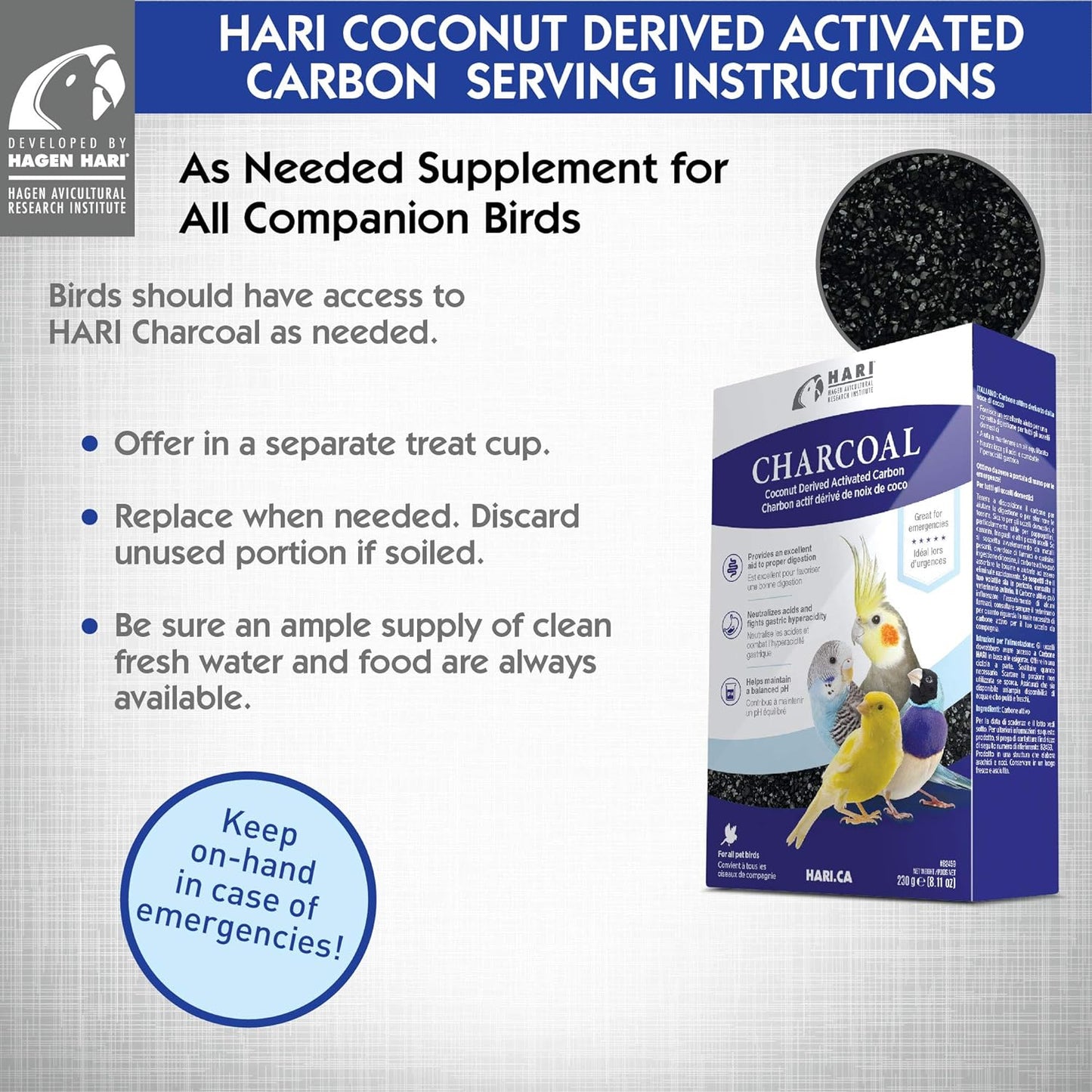 HARI Bird Charcoal