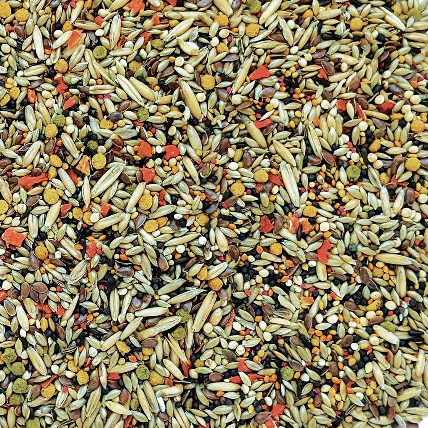 Hagen Gourmet Seed Mix for Canary