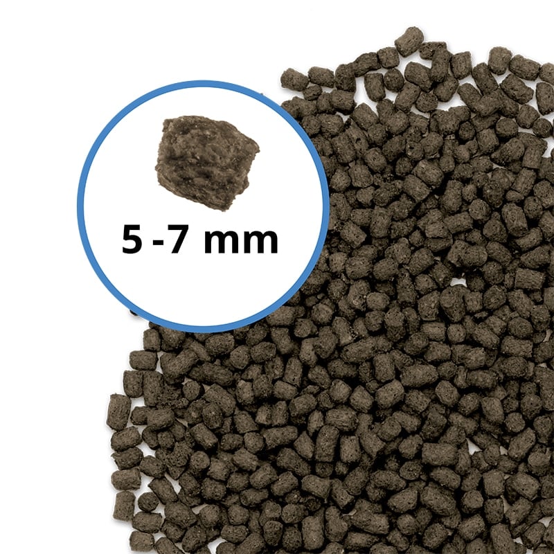 Fluval Bug Bites Turtle Pellets