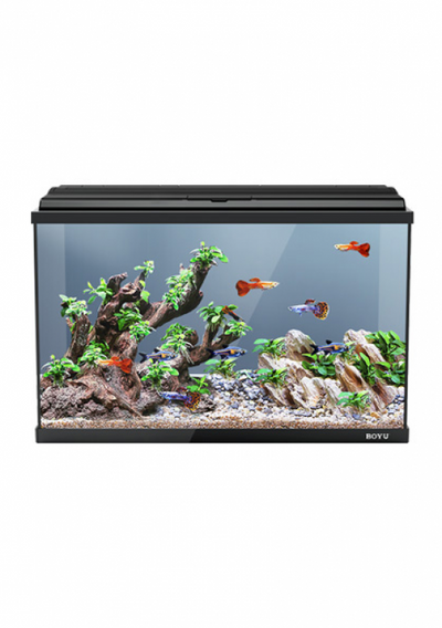 BOYU FG Aquarium Kit