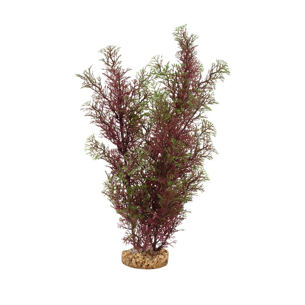 Fluval Aqualife Red/Green Foxtail, 14″ / 35.5 cm