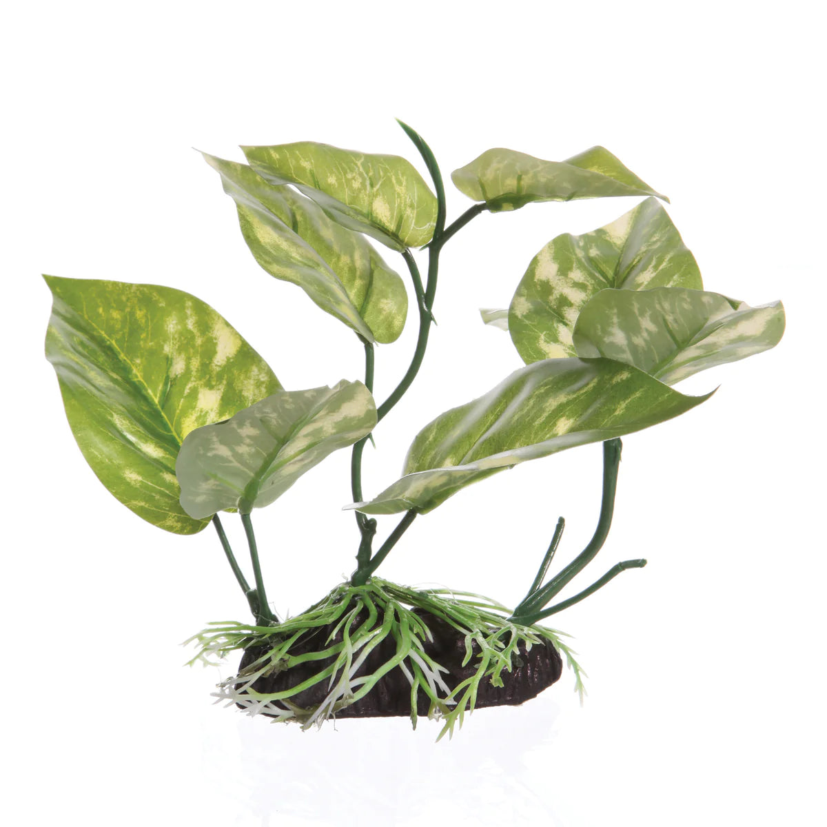 Fluval Aquascape Plant - Lizard's Tail - Medium - 17 cm (6.75in) with Base