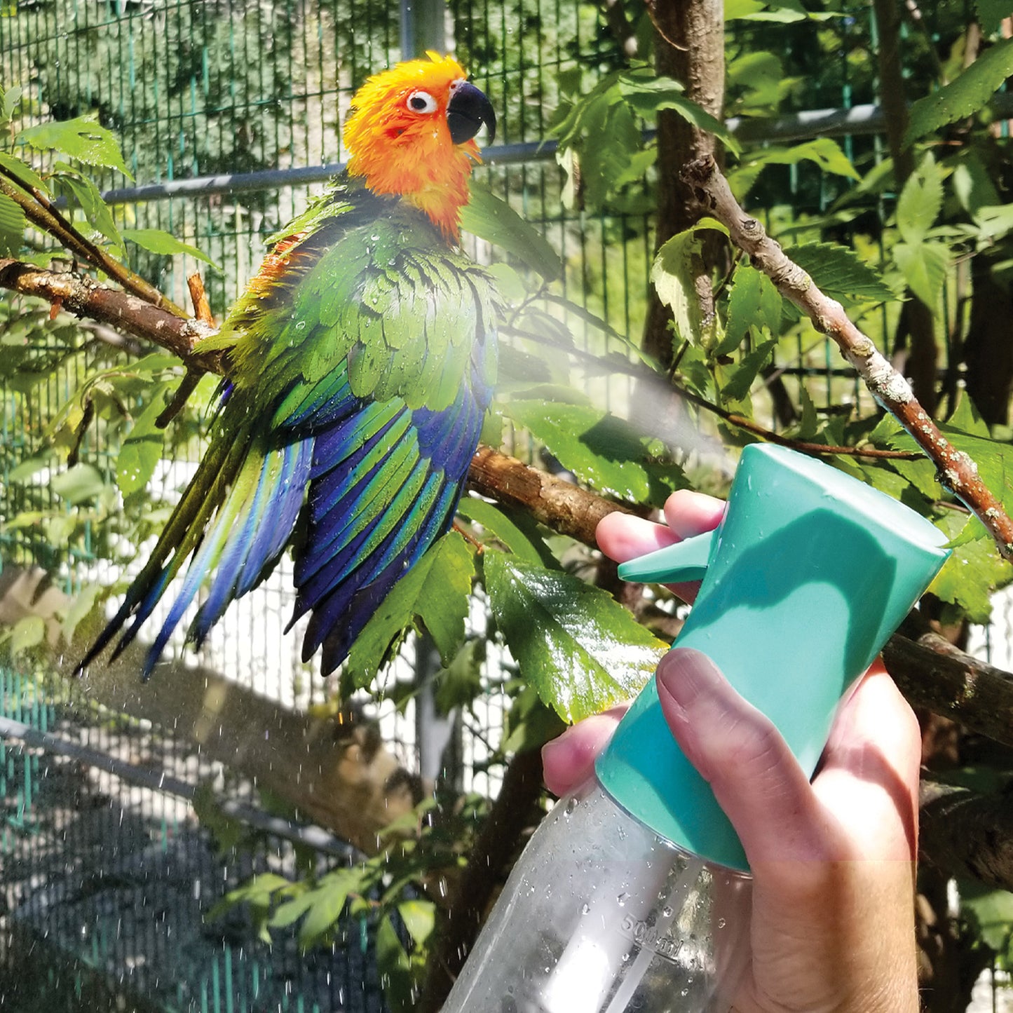 HARI Feather Mister - 500 ml capacity - Teal