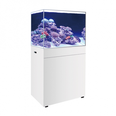 BOYU Marine Aquarium