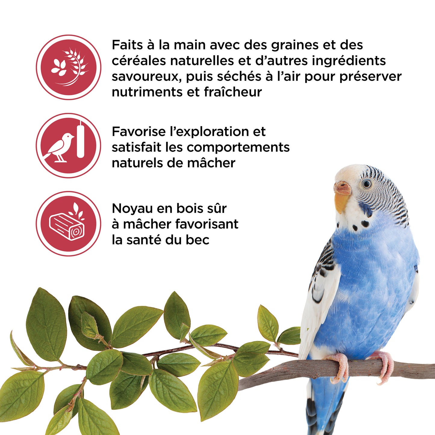 Living World Sticks - Budgie Treat - Fruit Melody