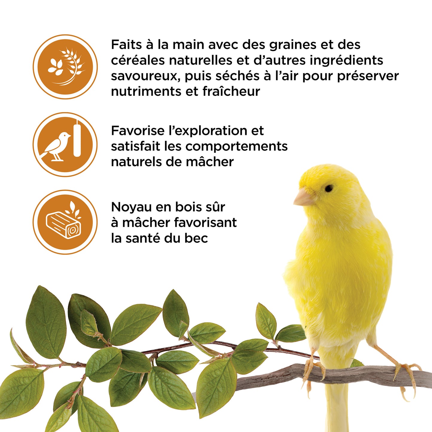Living World Sticks - Canary Treat - Honey Drizzle