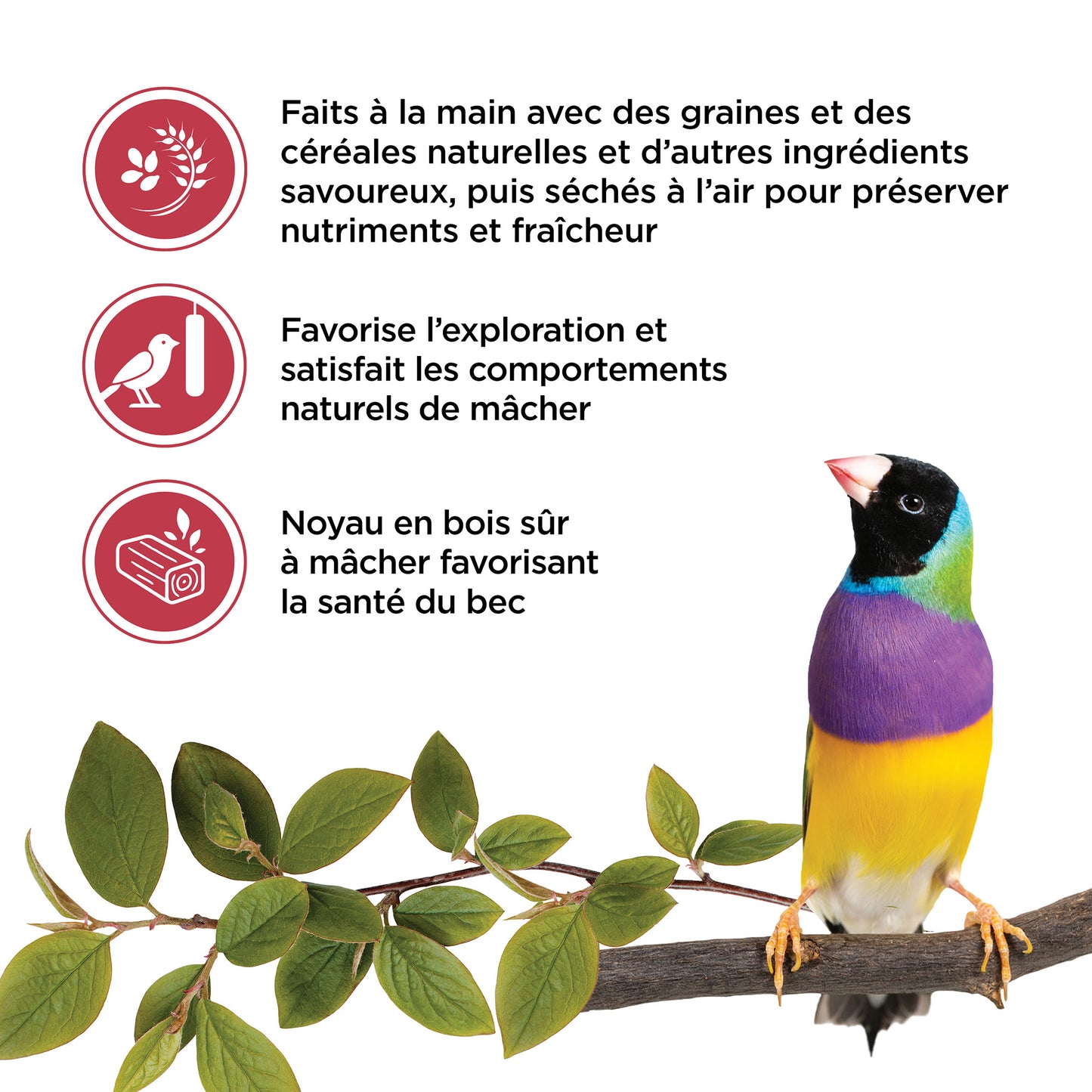 Living World Sticks - Finch Treat - Fruit Melody
