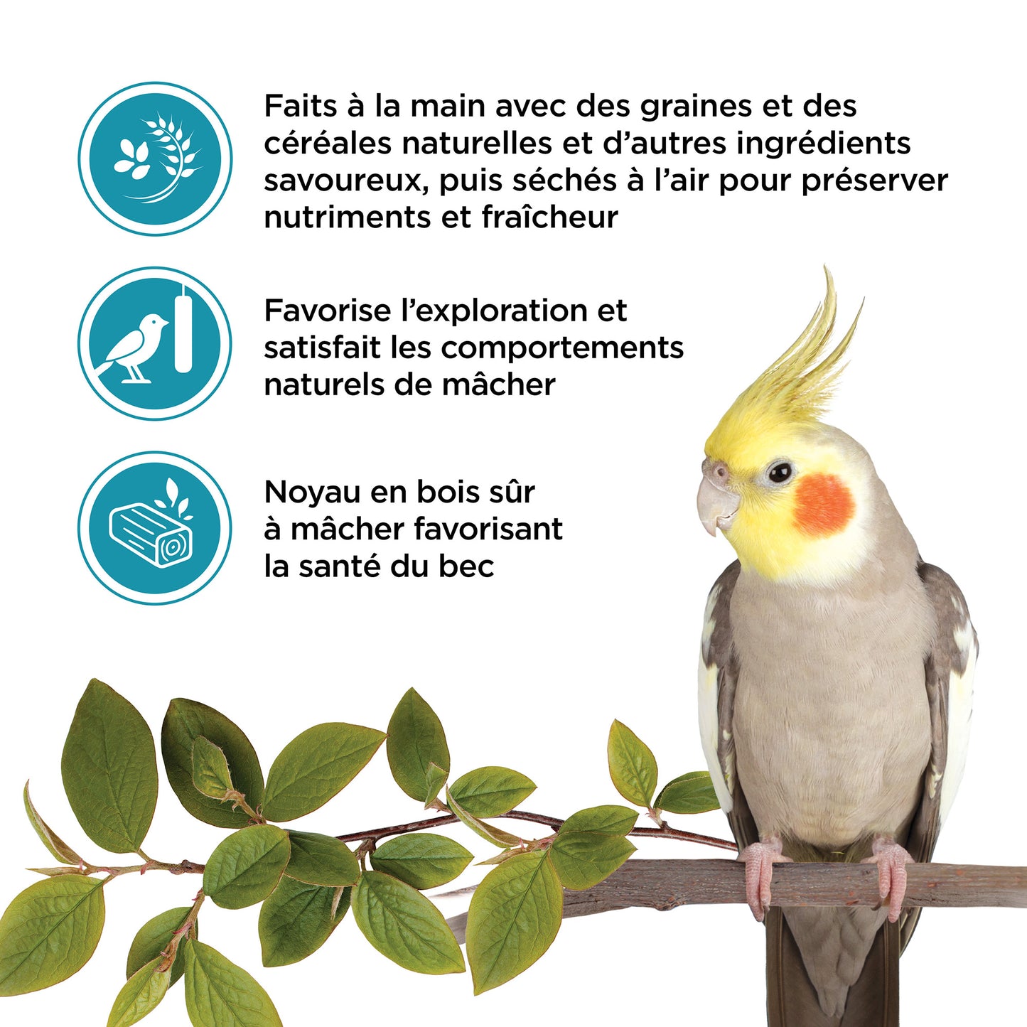 Living World Sticks - Cockatiel Treat - Nut Crunch
