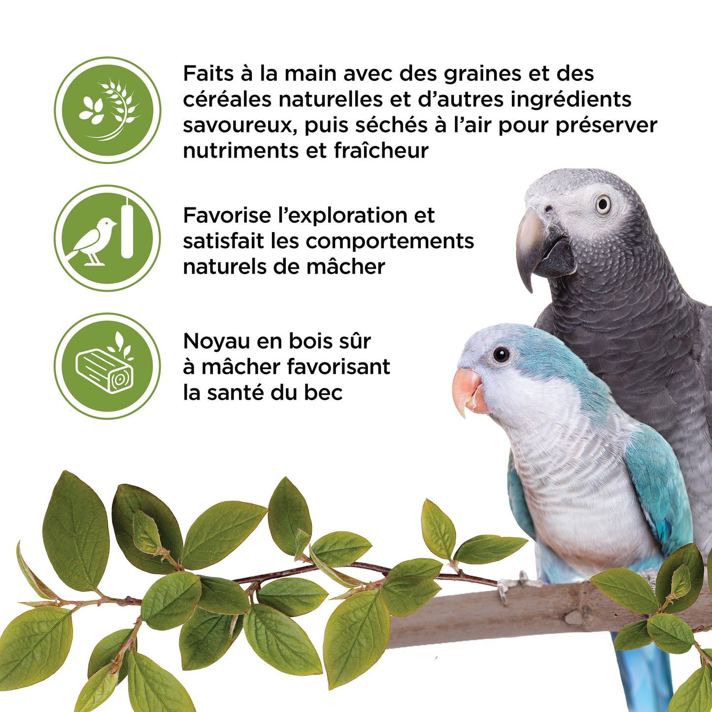 Living World Sticks - Parrot Treat - Veggie Patch