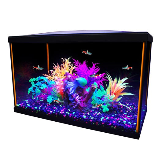 Marina iGlo 10G Aquarium Kit 38L (10gal)