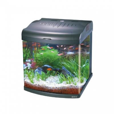 BOYU Mini Aquarium