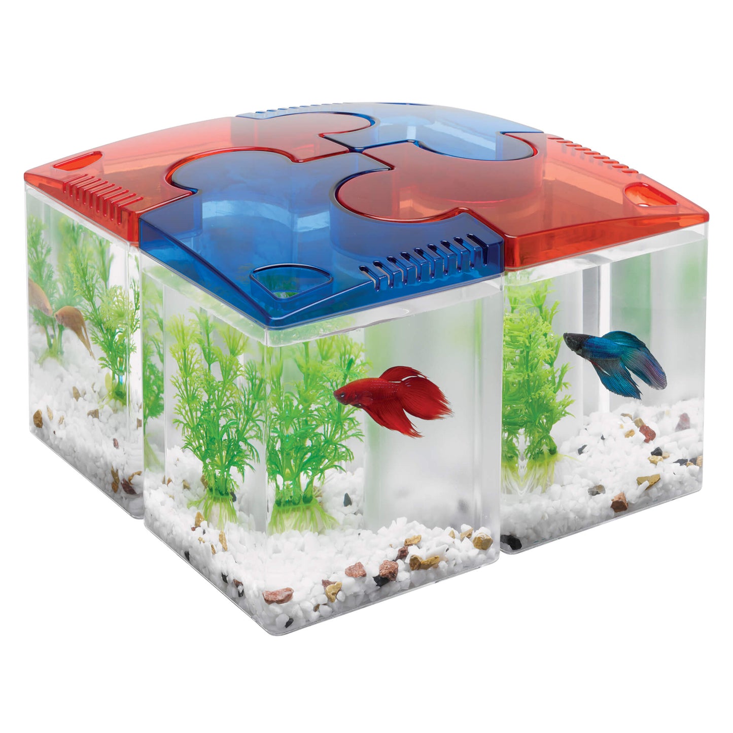 -Aqueon Betta Puzzle Kit