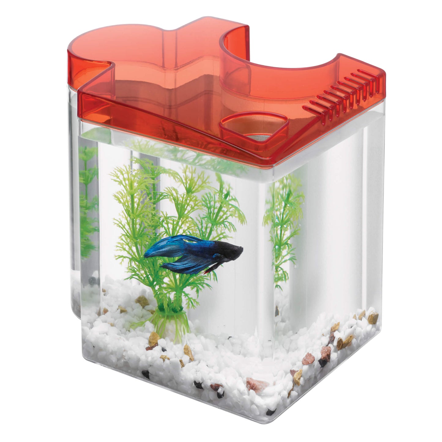 -Aqueon Betta Puzzle Kit