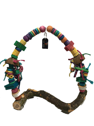 Huge Swing for the Large Parrots (25" X 32")