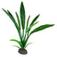 Fluval Betta Water Trumpet Plant 20cm (8in)