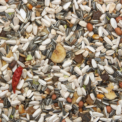 Bird Supreme Parrot + Fruit