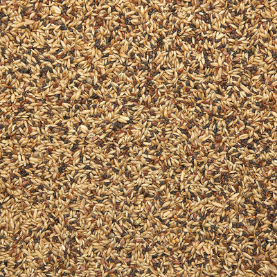 Bird Supreme Canary Extra