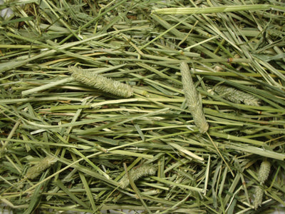Brown's Tropical Carnival Loose Timothy Hay 96 oz