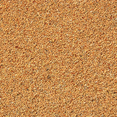 Bird Supreme Budgies Mix, Classic Seed Blend for Budgies & Small Parakeets (Bulk)