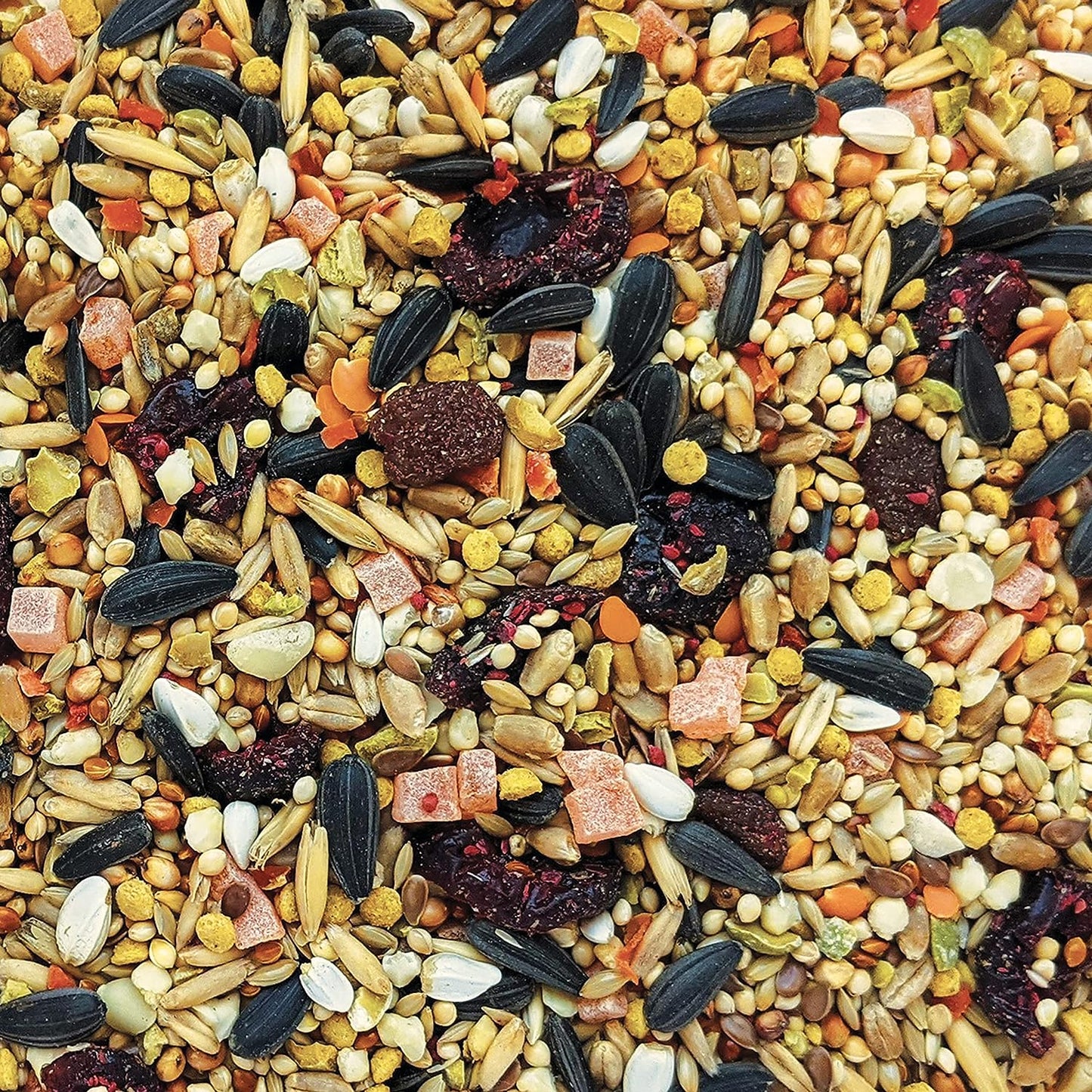 Hagen Gourmet Seed Mix for Cockatiels and Small Hookbills