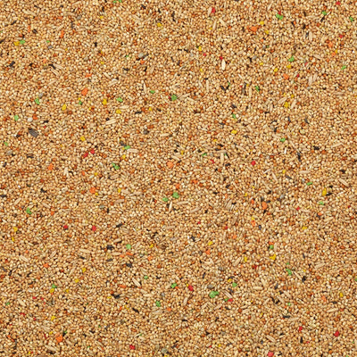 Bird Supreme Budgies color mix