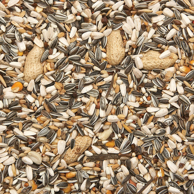 Bird Supreme Parrot Mix Bird Food, Seed, Nut & Sunflower Blend for Parrots