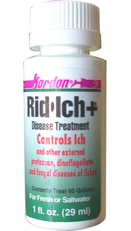 Kordon Rid-Ich + Disease Treatment