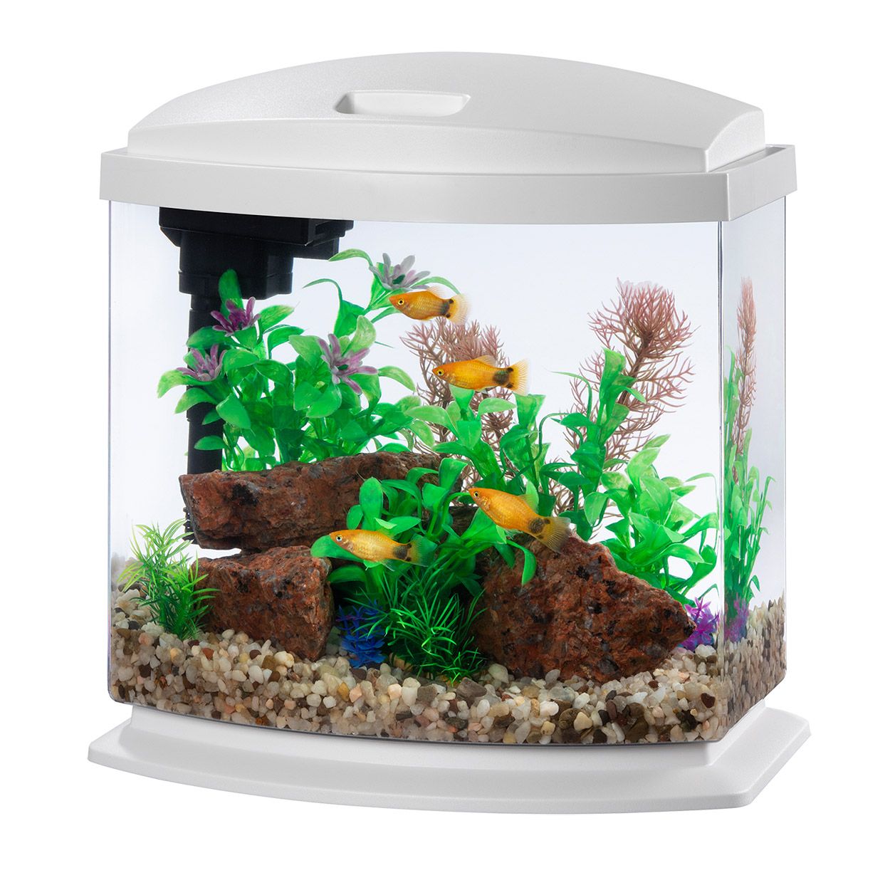 -Aqueon BettaBow LED SmartClean Aquarium 2.5GAL
