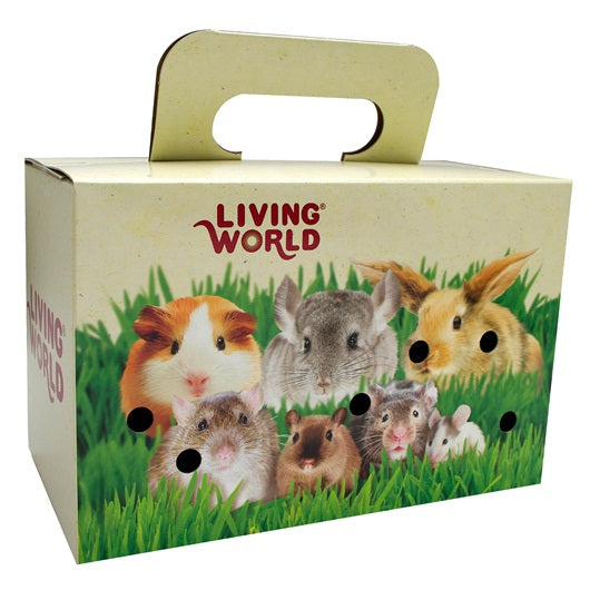 Living World Pet Carrier Cardboard Box