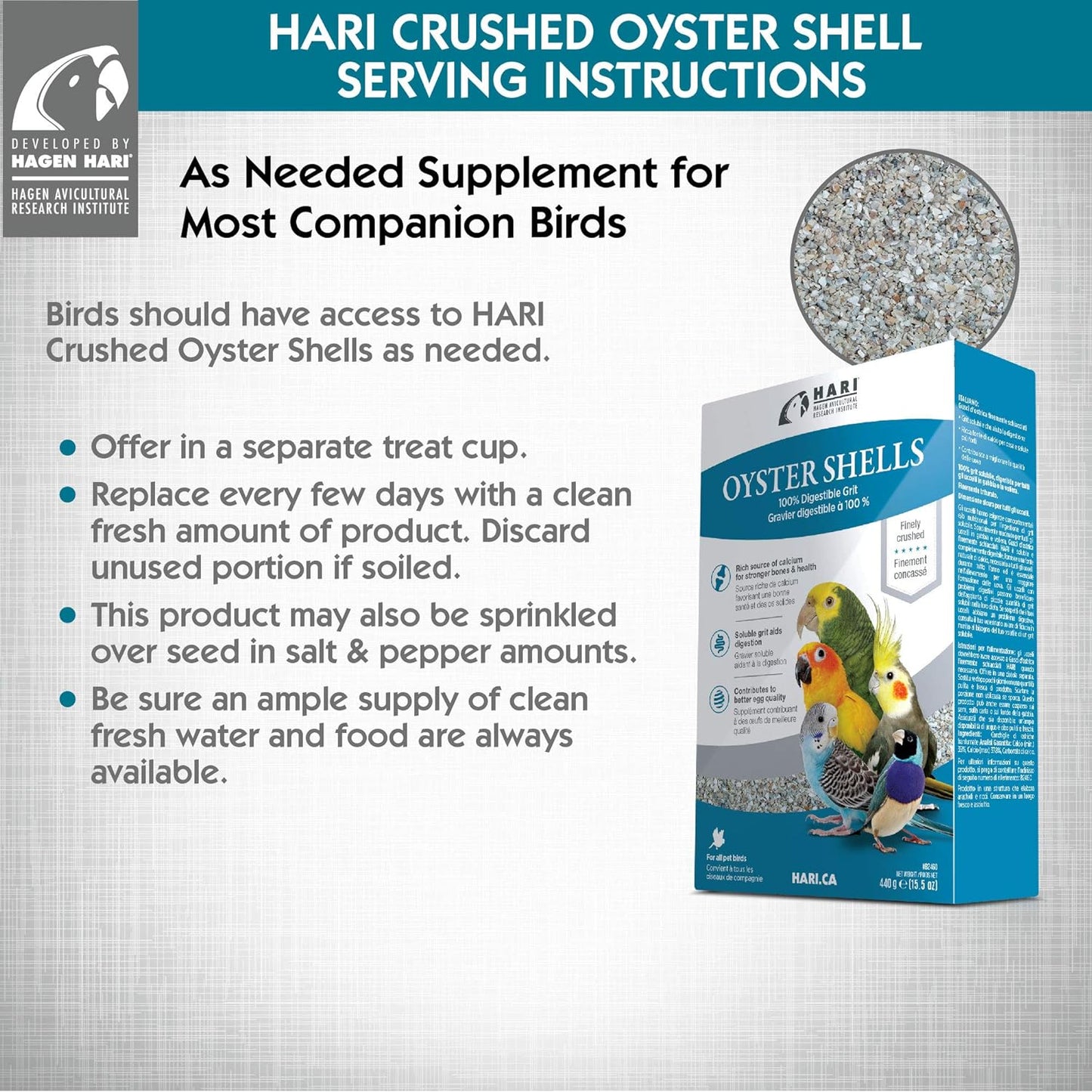 HARI Bird Oyster Shells