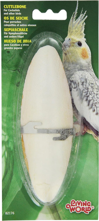 Living World Cuttlebone with Holder, Large (6-7in)